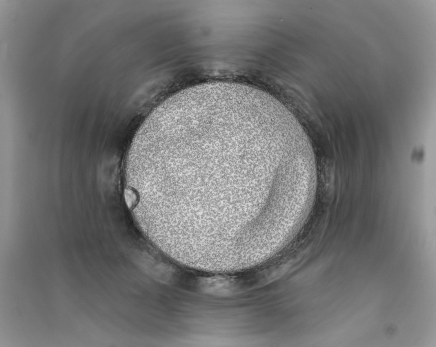 X0000090750511200708172030