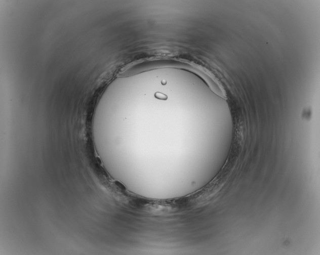 X0000090750512200708172030