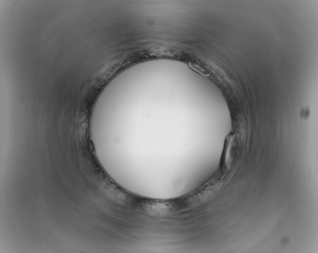 X0000090750513200708172030