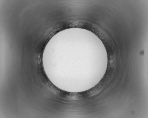 X0000090750514200708172030
