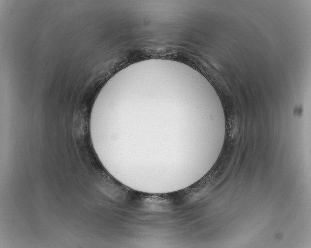 X0000090750515200708172030