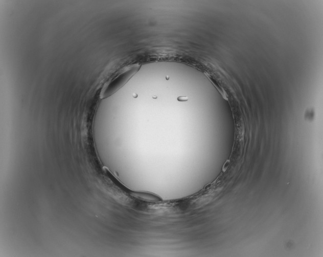 X0000090750516200708172030