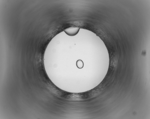 X0000090750518200708172030