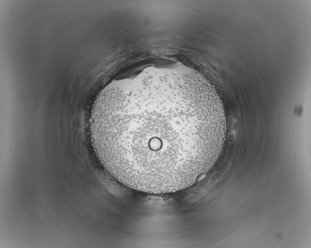 X0000090750519200708172030