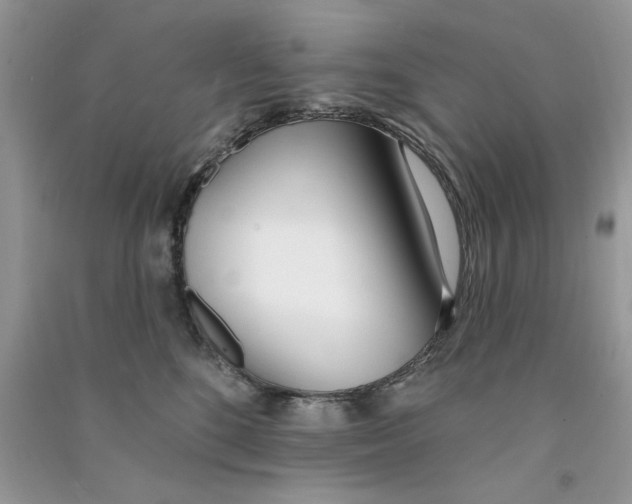 X0000090750520200708172030