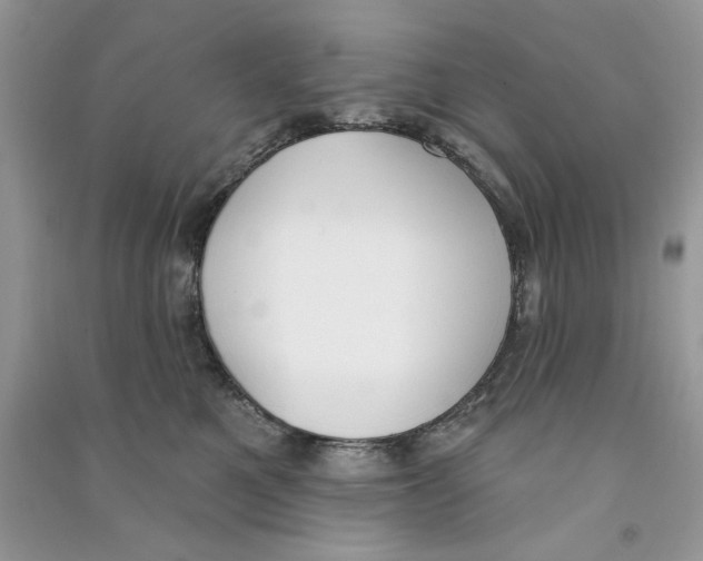 X0000090750521200708172030