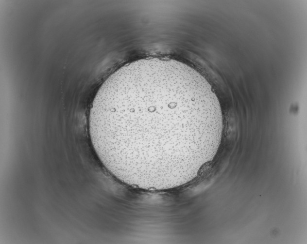X0000090750523200708172030