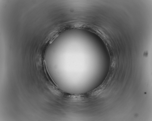 X0000090750524200708172030