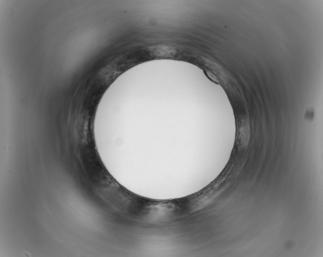 X0000090750525200708172030