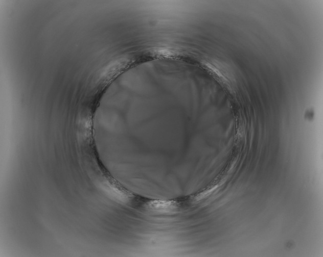 X0000090750526200708172030