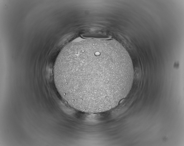 X0000090750527200708172030