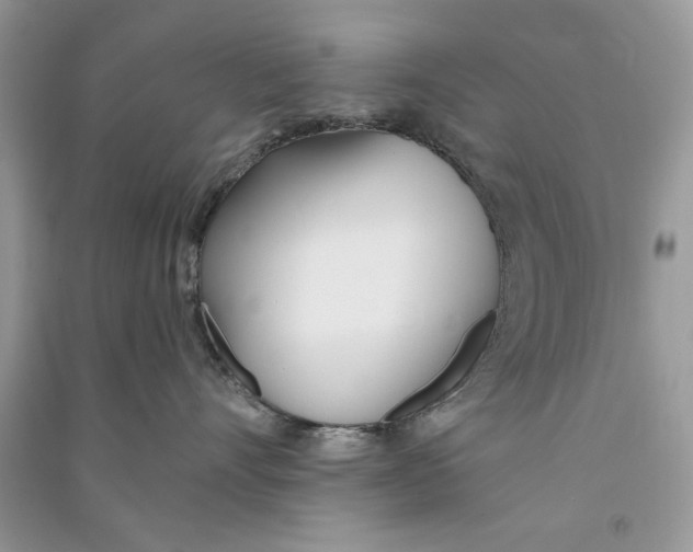 X0000090750528200708172030