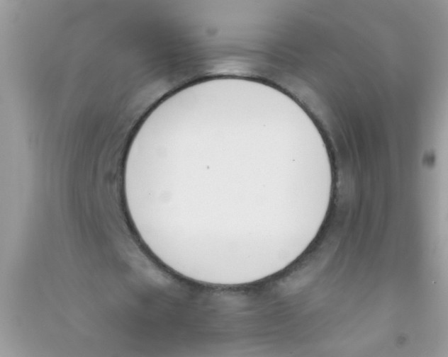 X0000090750529200708172029