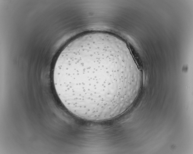 X0000090750531200708172029