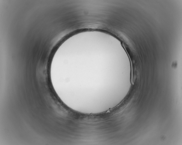 X0000090750532200708172029