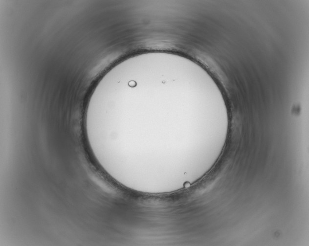X0000090750533200708172029