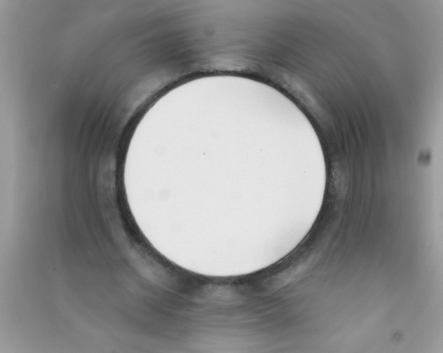 X0000090750534200708172029