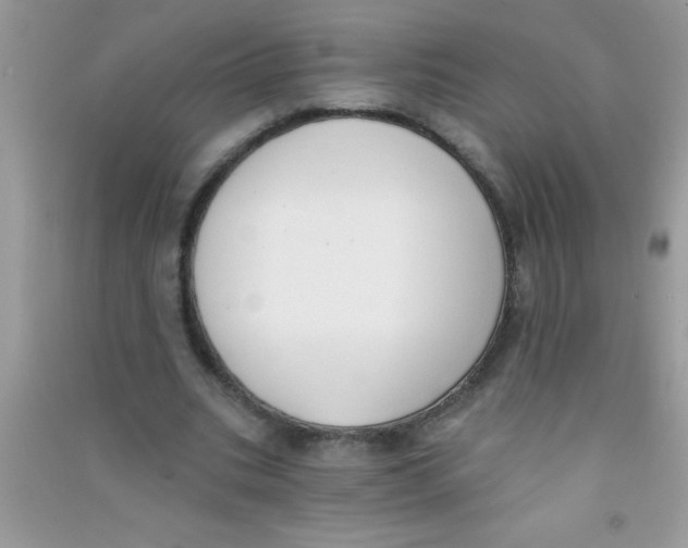 X0000090750535200708172029