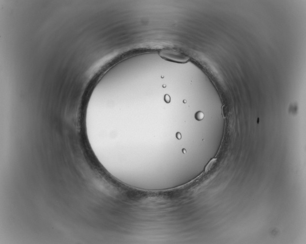 X0000090750536200708172029