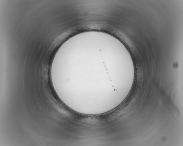X0000090750537200708172029