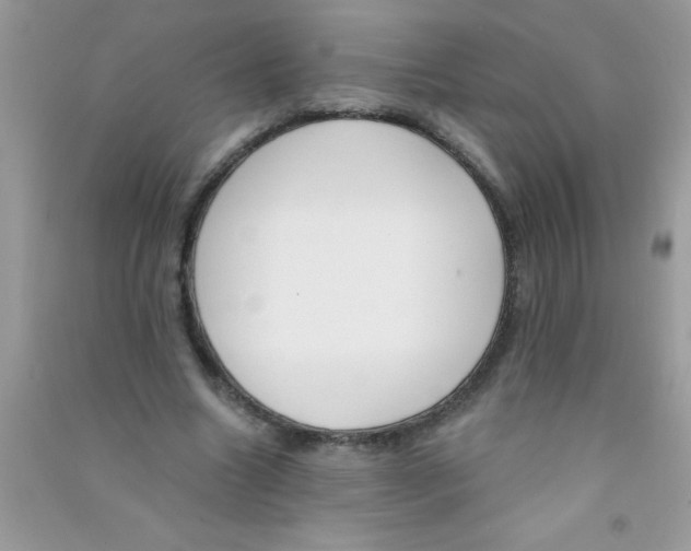 X0000090750538200708172029