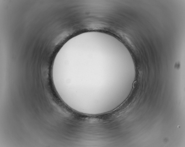 X0000090750539200708172029