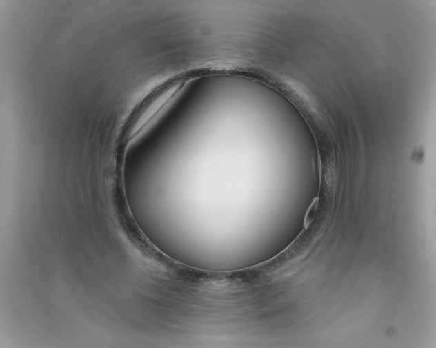 X0000090750540200708172029