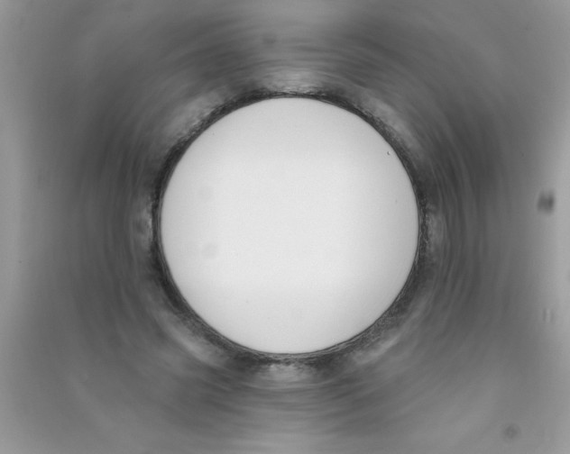 X0000090750541200708172029