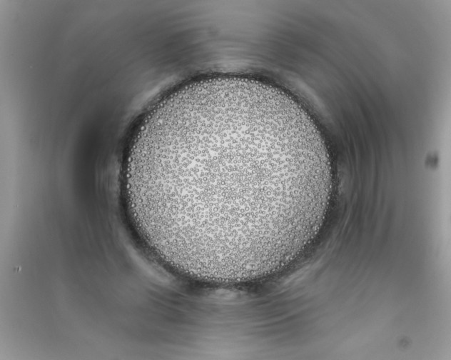X0000090750542200708172029