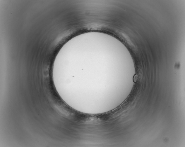 X0000090750543200708172029