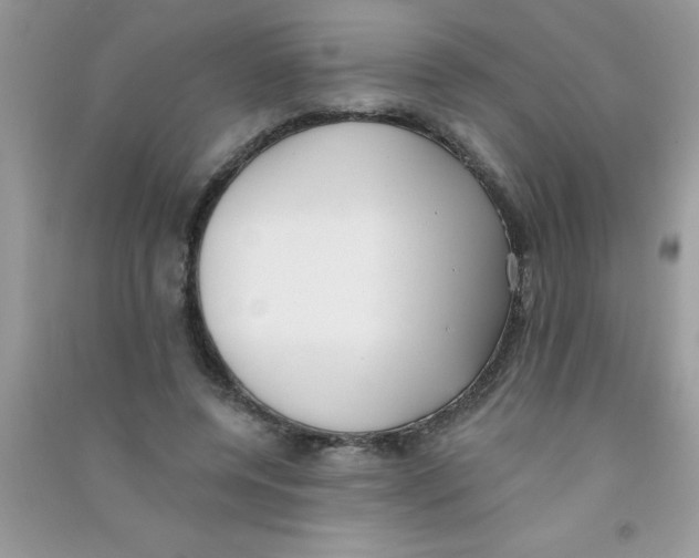 X0000090750544200708172029