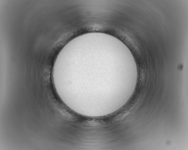 X0000090750545200708172029