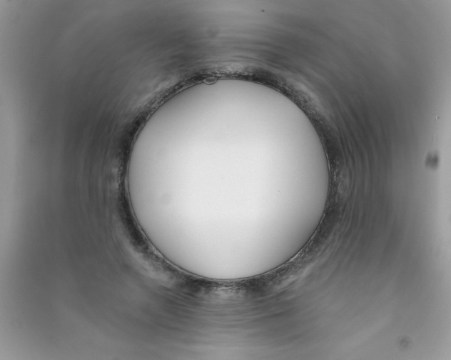 X0000090750546200708172029