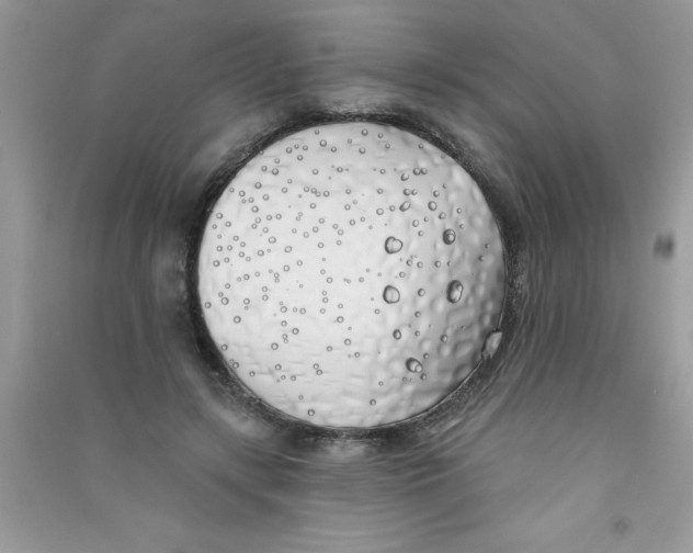 X0000090750547200708172029