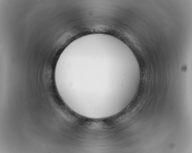 X0000090750548200708172029