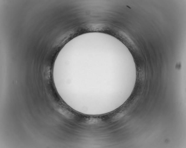 X0000090750549200708172030