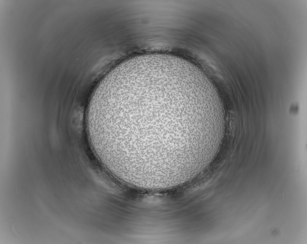 X0000090750550200708172030