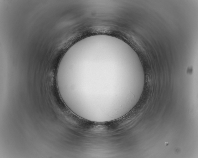 X0000090750551200708172030