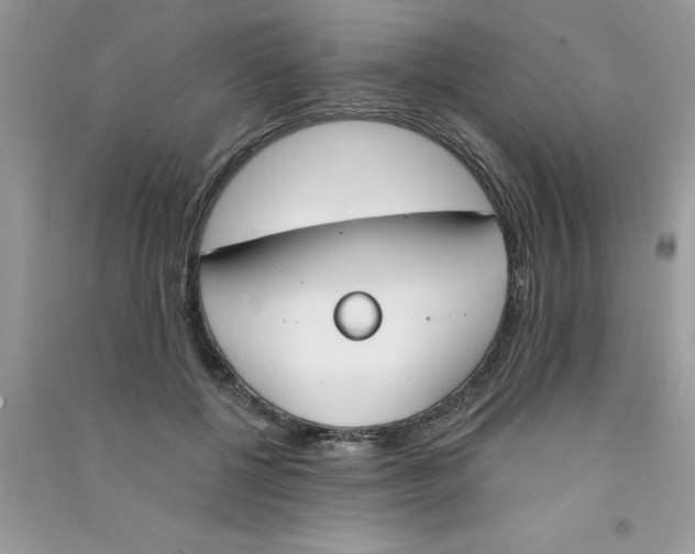 X0000090750552200708172030