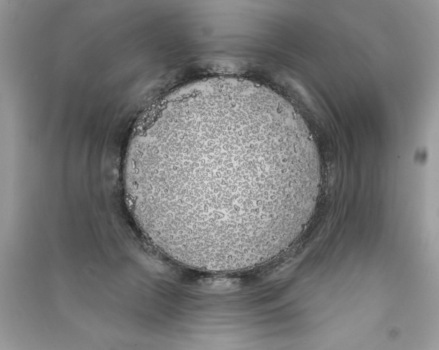 X0000090750553200708172030