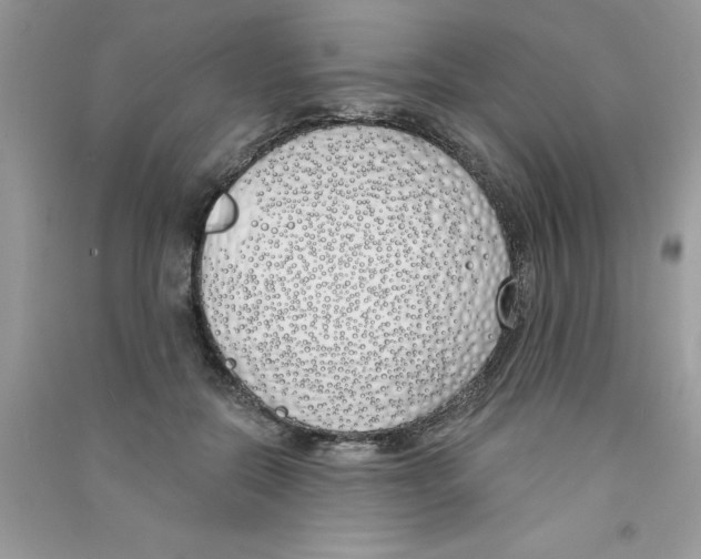 X0000090750554200708172030