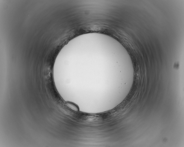 X0000090750555200708172030
