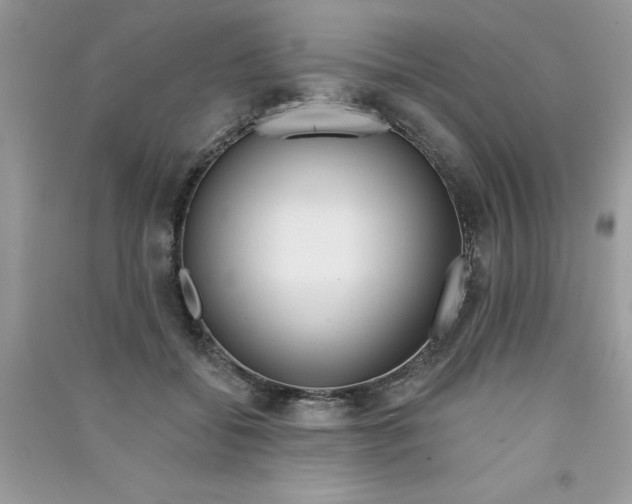 X0000090750556200708172030