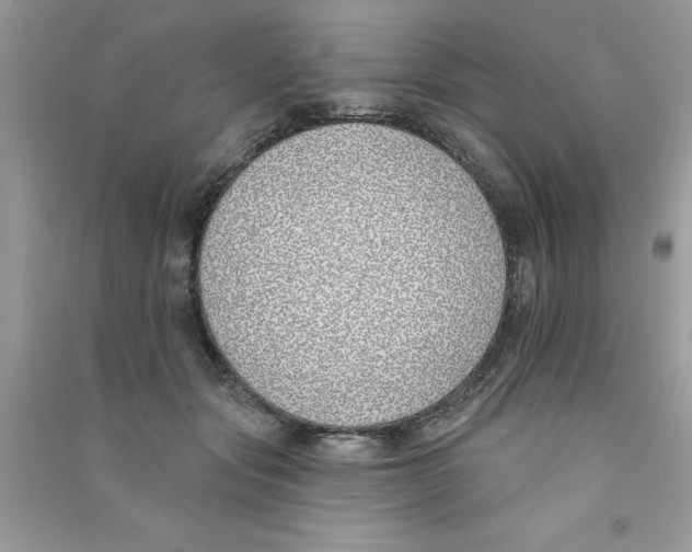 X0000090750557200708172030