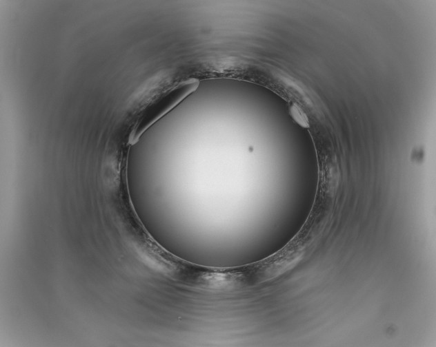 X0000090750558200708172030