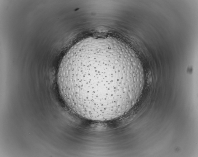 X0000090750559200708172030
