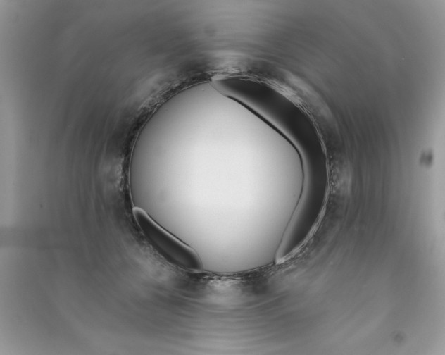 X0000090750560200708172030
