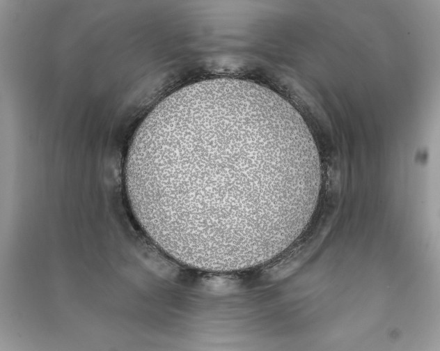 X0000090750561200708172030