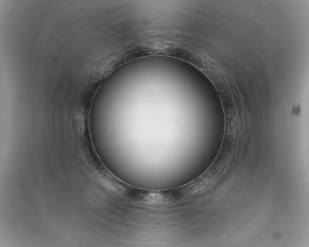 X0000090750562200708172030