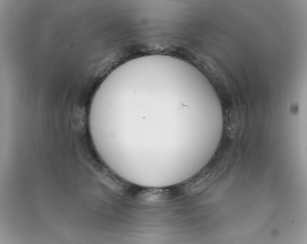 X0000090750563200708172030